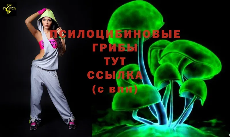 Галлюциногенные грибы Cubensis  как найти наркотики  Шуя 